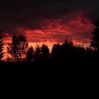 Derek Lindsey Photo 9