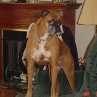 Allen Bray Photo 11