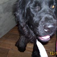 Judith Helms Photo 5