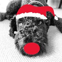 Julie Couture Photo 10