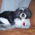 Jon Pollack Photo 18