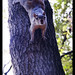 Edgardo Garcia Photo 10