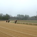 Chad Fredericks Photo 7