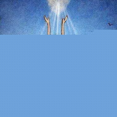 Lisa Fitzsimons Photo 17