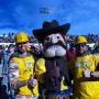 Adam Schaefer Photo 12