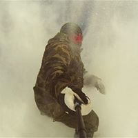 Morgan Lambert Photo 12