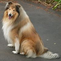 Alan Phipps Photo 24