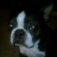 Louise Mcclung Photo 2