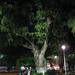 Carmen Parks Photo 15