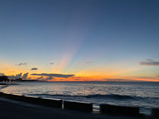 Amy Knowles Photo 39