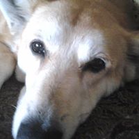 John Magers Photo 7