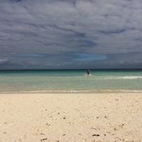 Dan Shepherd Photo 16