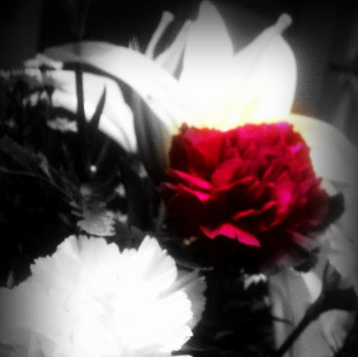 Laurel Stone Photo 14