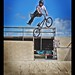 David Mc Photo 27