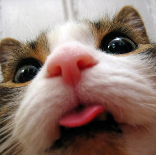 George Michel Photo 40