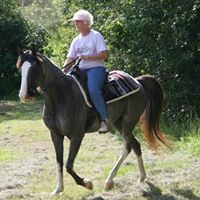 Elaine Rutledge Photo 7