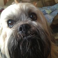 Gail Workman Photo 7