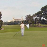 Maryanne Needham Photo 2