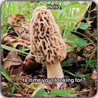 William Wright Photo 31 William Wright Photo 31