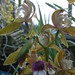 Tracy Swartz Photo 26