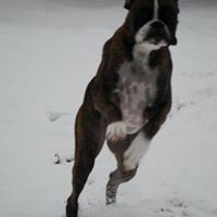 Todd Schulz Photo 5