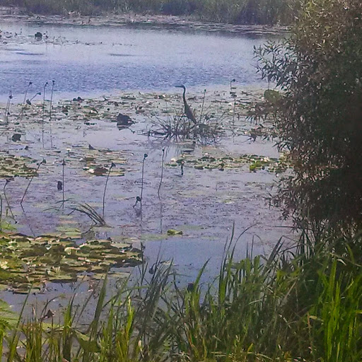 Hannah Brown Photo 2