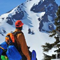 Seth Lieberman Photo 22