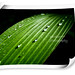 Duane Ray Photo 40