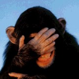 William Gilmore Photo 39