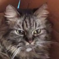 Pamela Caldwell Photo 26