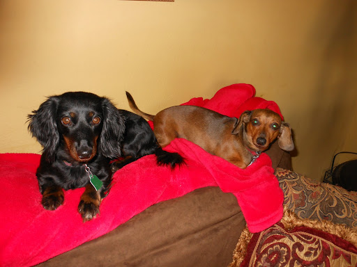 Sandra Boyd Photo 36