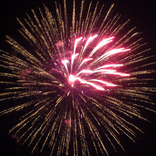 Shannon Krause Photo 8