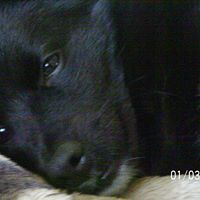 Paige Ritchie Photo 7