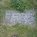 Watson Moore Photo 8