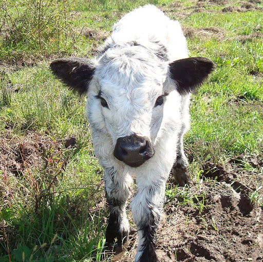 Sandra Chamberlin Photo 18