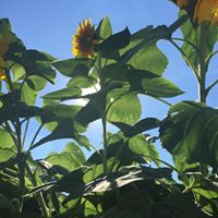 Megan Thomas Photo 37 Megan Thomas Photo 37