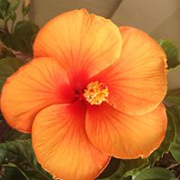 Gail Jensen Photo 19