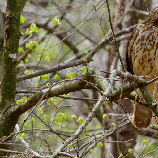 David Bruce Photo 37 David Bruce Photo 37