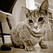 Malcolm Bacon Photo 14