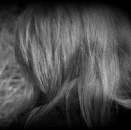 Mollie Green Photo 14