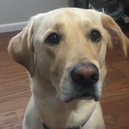 Catherine Kenny Photo 26