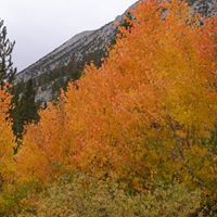 Richard Strunk Photo 11