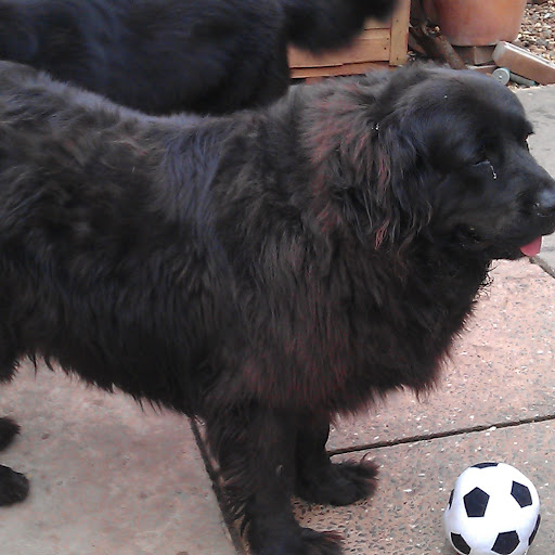 Paula Abbott Photo 19