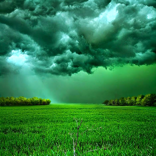 Darrell Simpson Photo 12