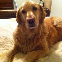 Janet Strong Photo 24