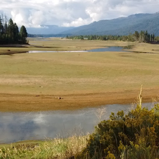 Roy Evans Photo 55 Roy Evans Photo 55