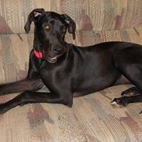 Karen Lester Photo 11