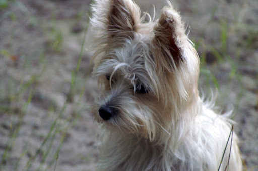 Dale Erickson Photo 25