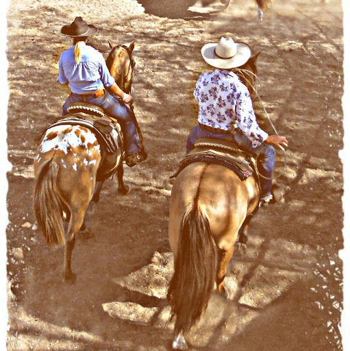 Julie Dumas Photo 10