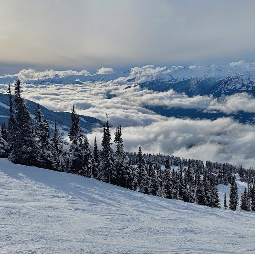 Jennifer Rabon Photo 20